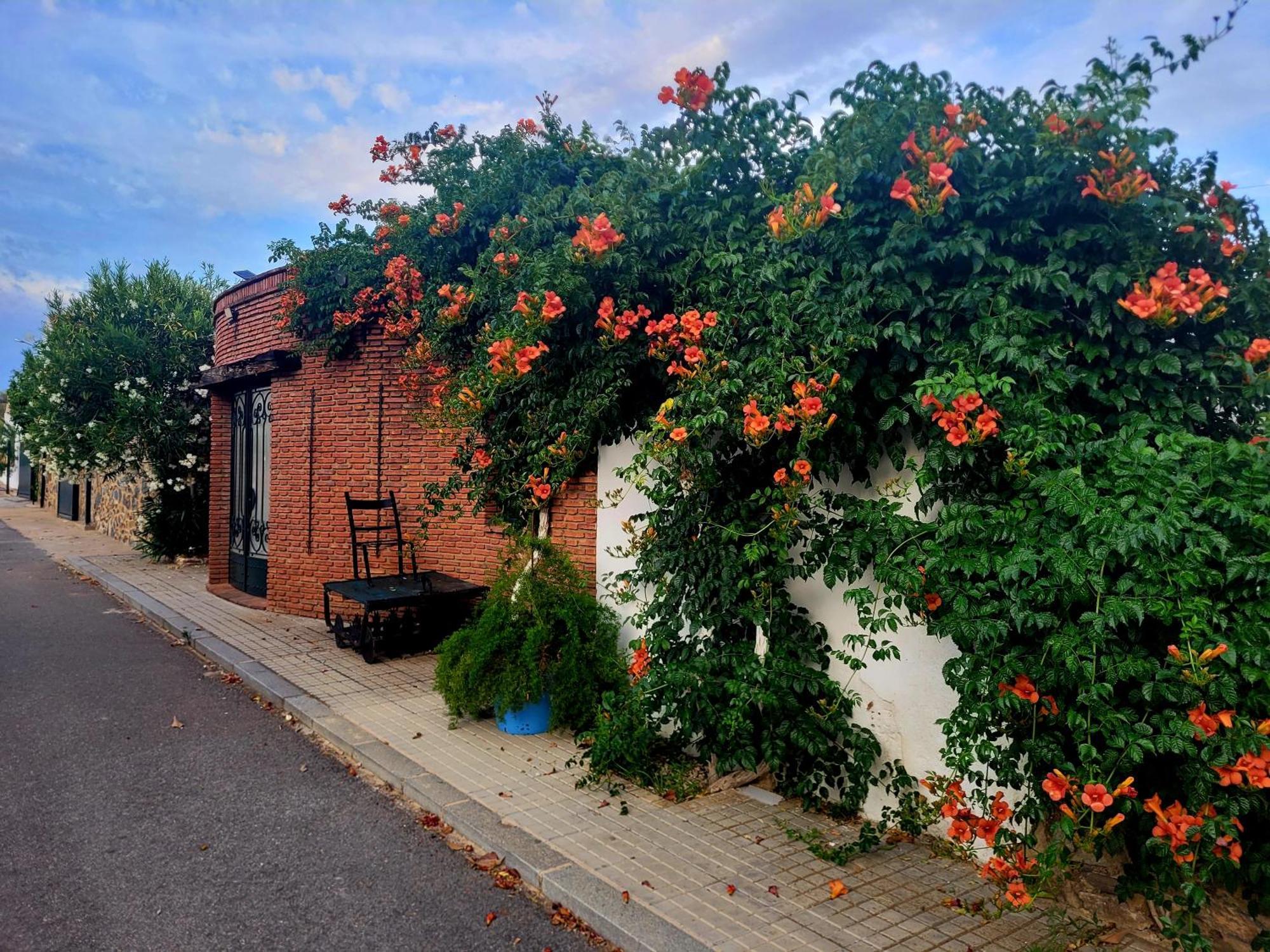 Villa Complejo Rural El Soldado Villanueva del Duque Exterior foto